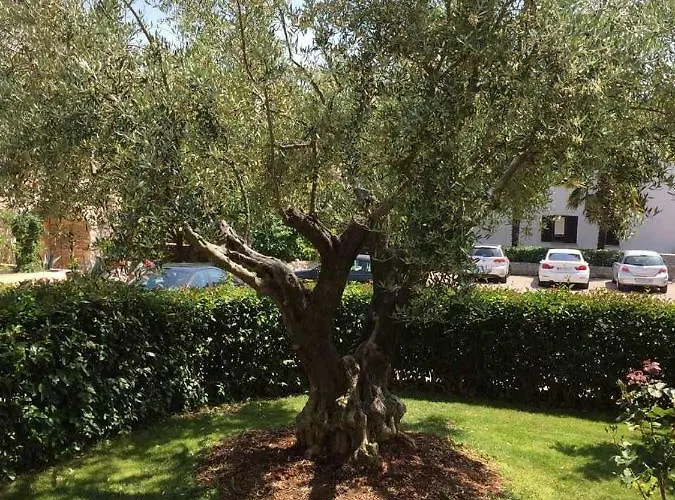 Alberta Πόρετς