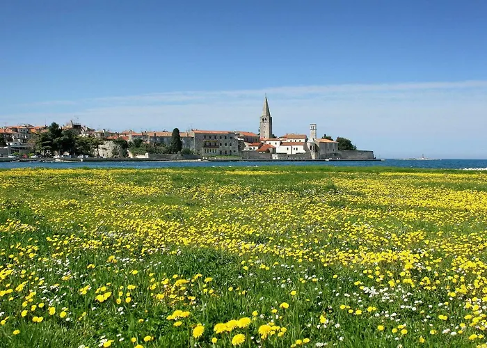 Alberta Διαμέρισμα